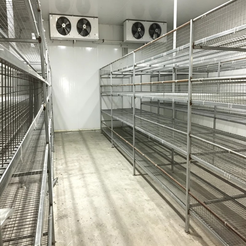 Гидропонная контейнерная ферма – обзор и цена Urban Farming Indoor